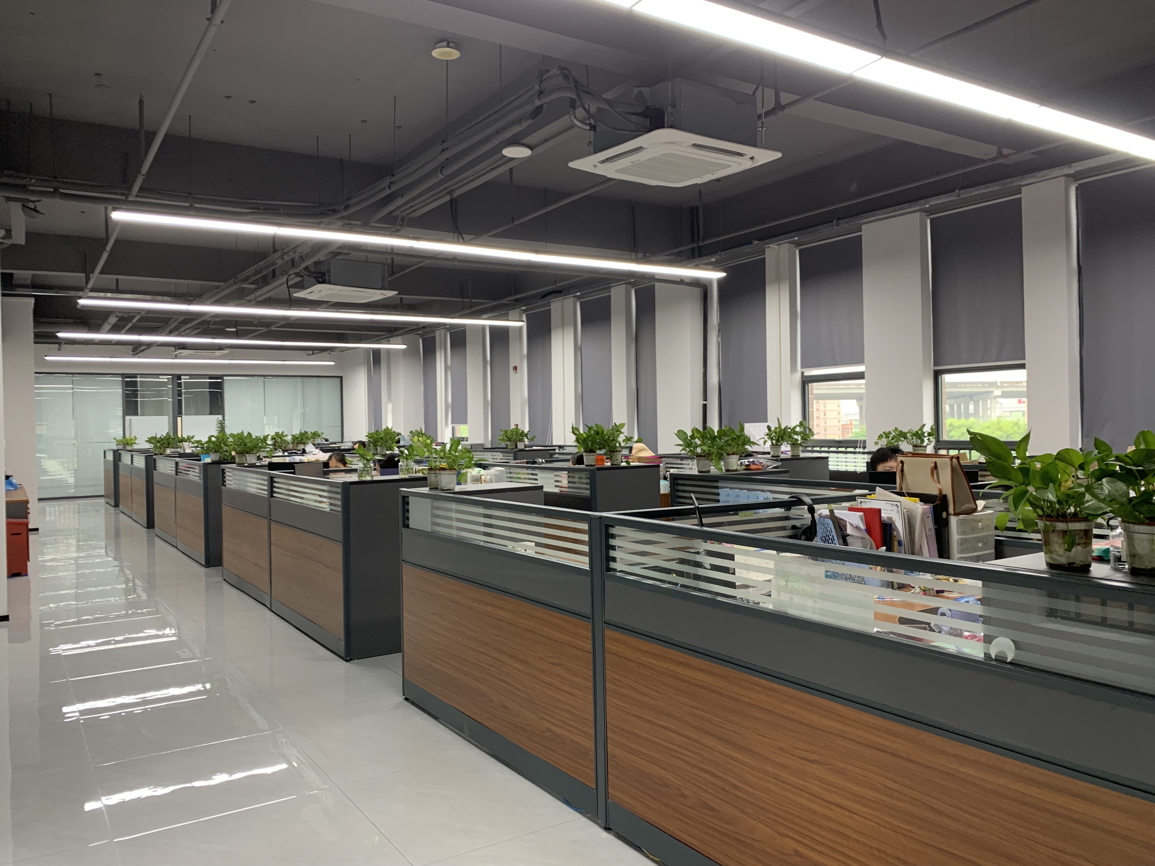 중국 RICHSTAR (SHENZHEN) LIMITED 회사 프로필